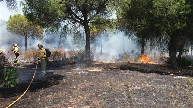 Extinguido el incendio de Aljaraque (Huelva) tras arrasar 3