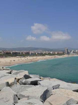 Descubren en aguas del Maresme (Cataluña) una nueva especie de crustáceo bautizada como Iluro