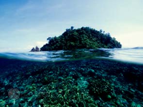 Oceans choking on carbon dioxide