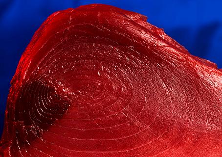 La UE apoyará vetar el comercio de atún rojo a partir de 2011 y estudiará compensaciones para el sector