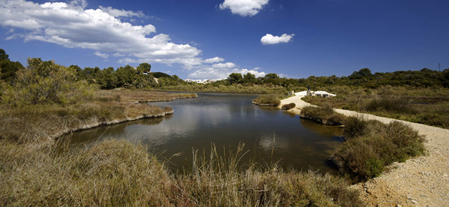 Valencia. Entidades ecologistas denuncian la degradación continua del Júcar y de la Albufera