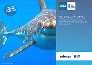 Tiburones y Rayas