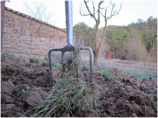 Hazte perito tasador en seguros agrarios con INTESA