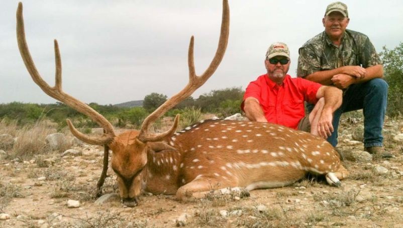 Polémico rancho en Texas recibe animales en extinción y permite su cacería