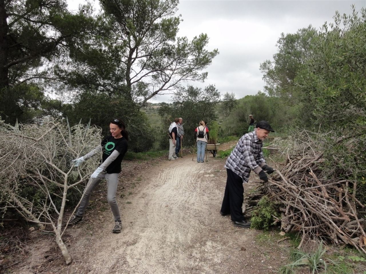 Para aprovechar la biomasa