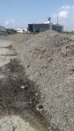 ANSE critica la "roturación y vertido" de arribazones dentro del humedal de importancia internacional del Mar Menor