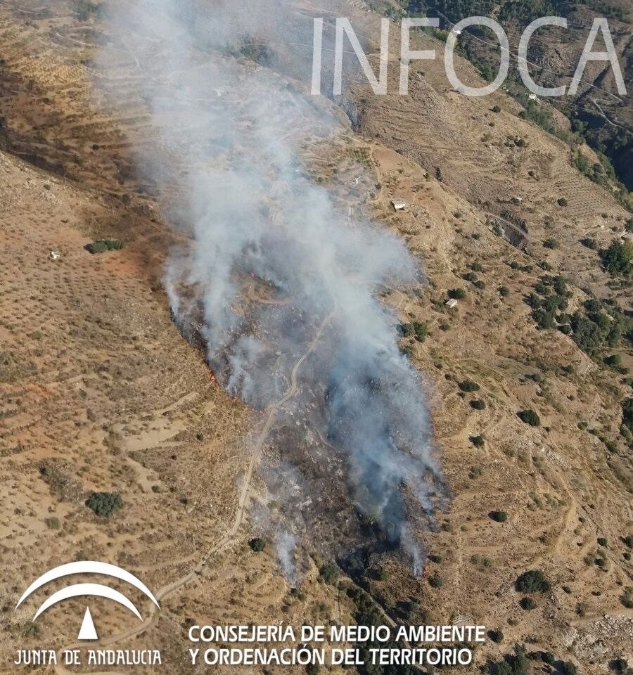 Estabilizado el incendio forestal del barranco de los Morciguillos en Válor (Granada)