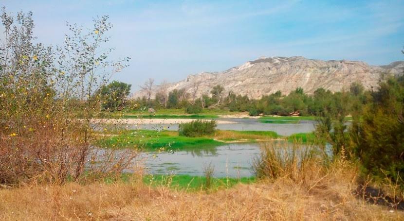 Una treintena de entidades de la cuenca del Ebro reclama la gestión adecuada de los ecosistemas con visión de unidad