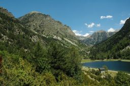 Cataluña inicia los trabajos de restauración de la zona afectada por los incendios forestales en el Parque Natural del Alto Pirineo