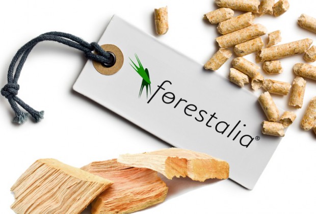 La junta de Castilla y Lleón y forestalia impulsan una planta de energía limpia mediante biomasa en el bierzo