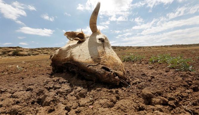 El Niño agudiza la sequía de Etiopía