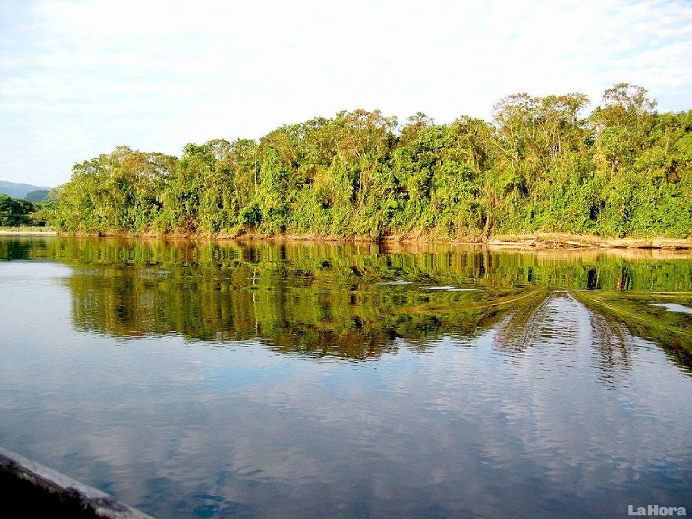 Más de 10.000 hectáreas conservadas con Socio Bosque