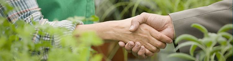 Celebradas las reuniones informativas con las entidades beneficiarias del Programa empleaverde