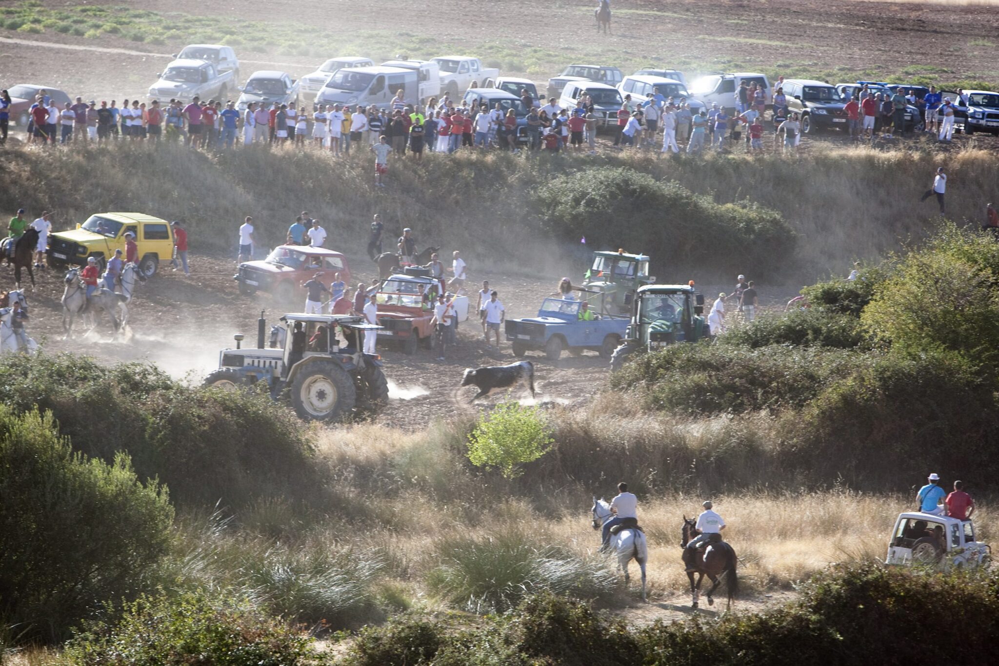 PACMA denuncia por tercer año consecutivo los encierros de Galápagos