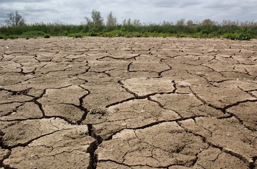 Ni un otoño lluvioso compensará. Segundo verano más seco en 60 años