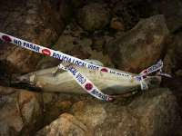 Hallan un delfín muerto en unas rocas de la playa viguesa de Punta Lagoa