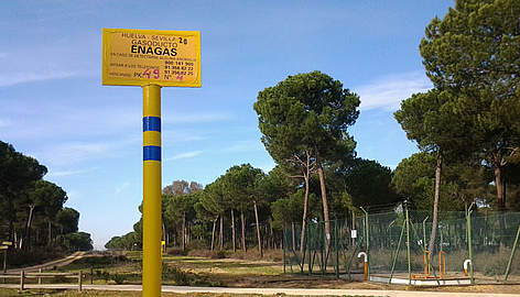 Más energías renovables y menos Gas Natural en Doñana