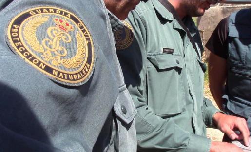 Un hombre detenido por ahorcar a su perro en Es Mercadal (Menorca)