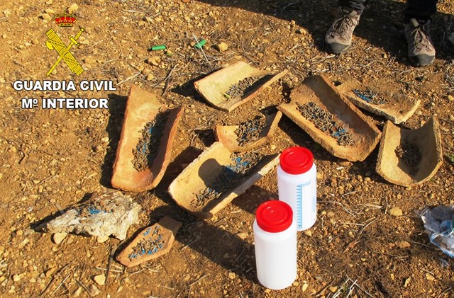 C. Valenciana. Un anciano utilizaba cebos envenenados en huertos de Vilanova dAlcolea