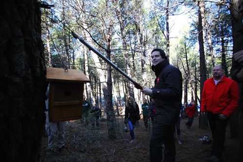 Madrid colocarán trampas de feromonas y mil cajas nidos para luchar contra plagas forestales en el Parque Nacional