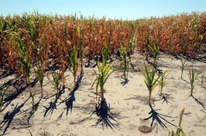 El fenómeno climático La Niña enfrenta a la Argentina a su peor sequía en 46 años