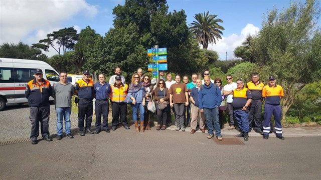 Tenerife recupera más de 2.000 ejemplares de pardela cenicienta