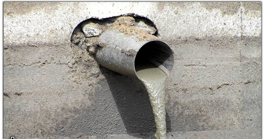 Andalucía ‘se pone de perfil’ con la gestión de los estiércoles y purines