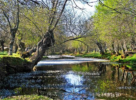 El MARM invierte más de 210.000 euros en mejorar los cauces del río Castrón y del arroyo Almucera en Villanázar (Zamora)