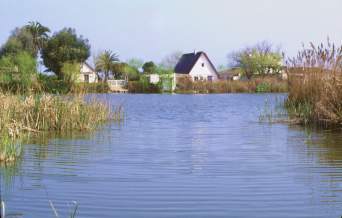 Polémica con el nuevo plan rector de la Albufera
