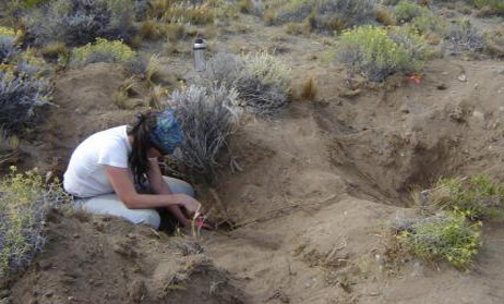 Un equipo de investigadores realiza el primer estudio sobre vapor de agua en la Patagonia