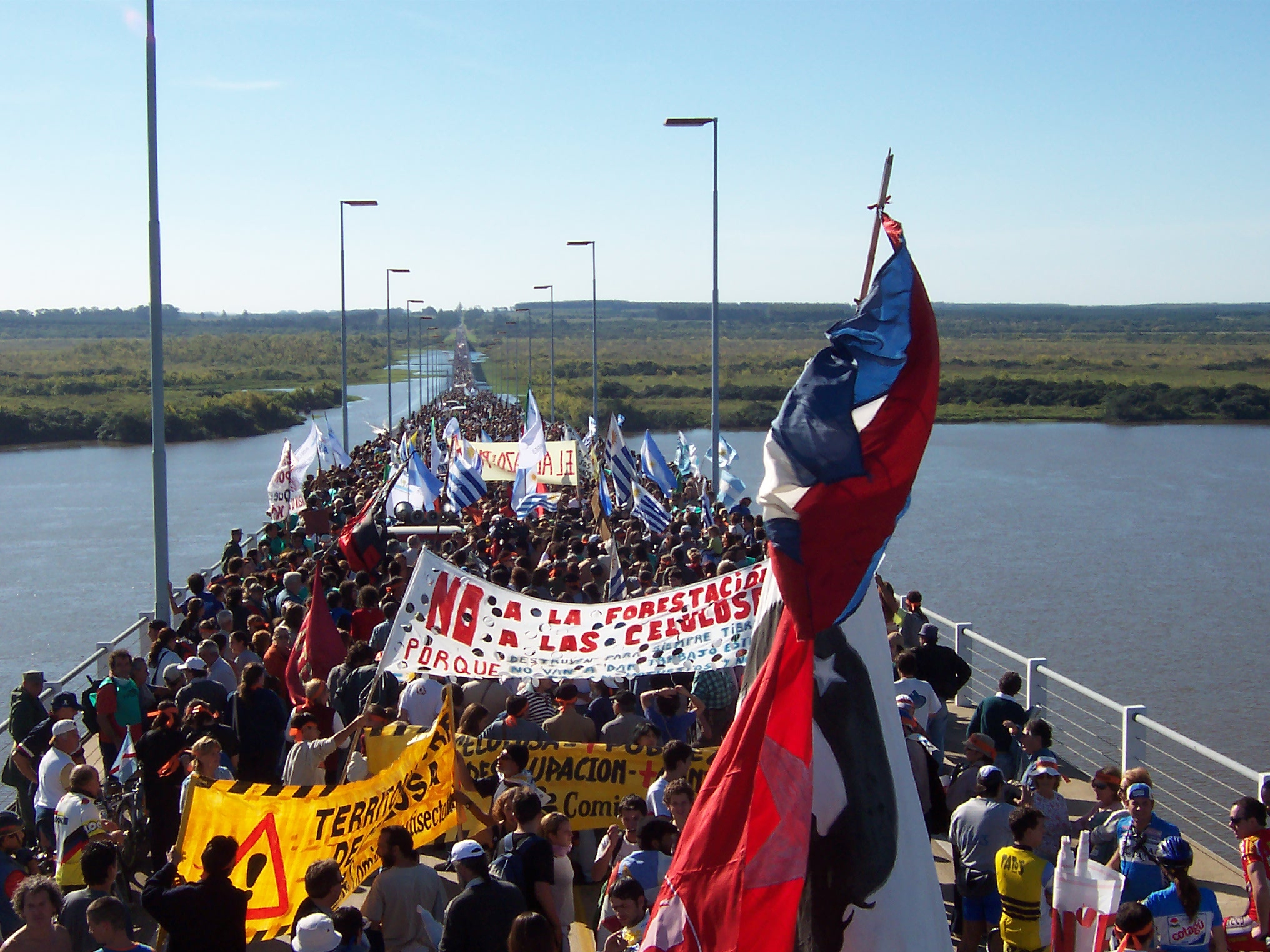 Día Internacional contra los monocultivos de árboles