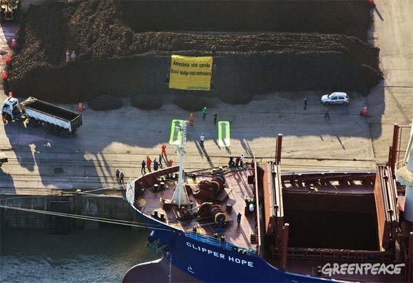 Brasil. Codigo Forestal: otro capítulo infeliz