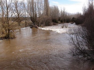 Eliminar azudes puede mejorar la presencia de peces nativos