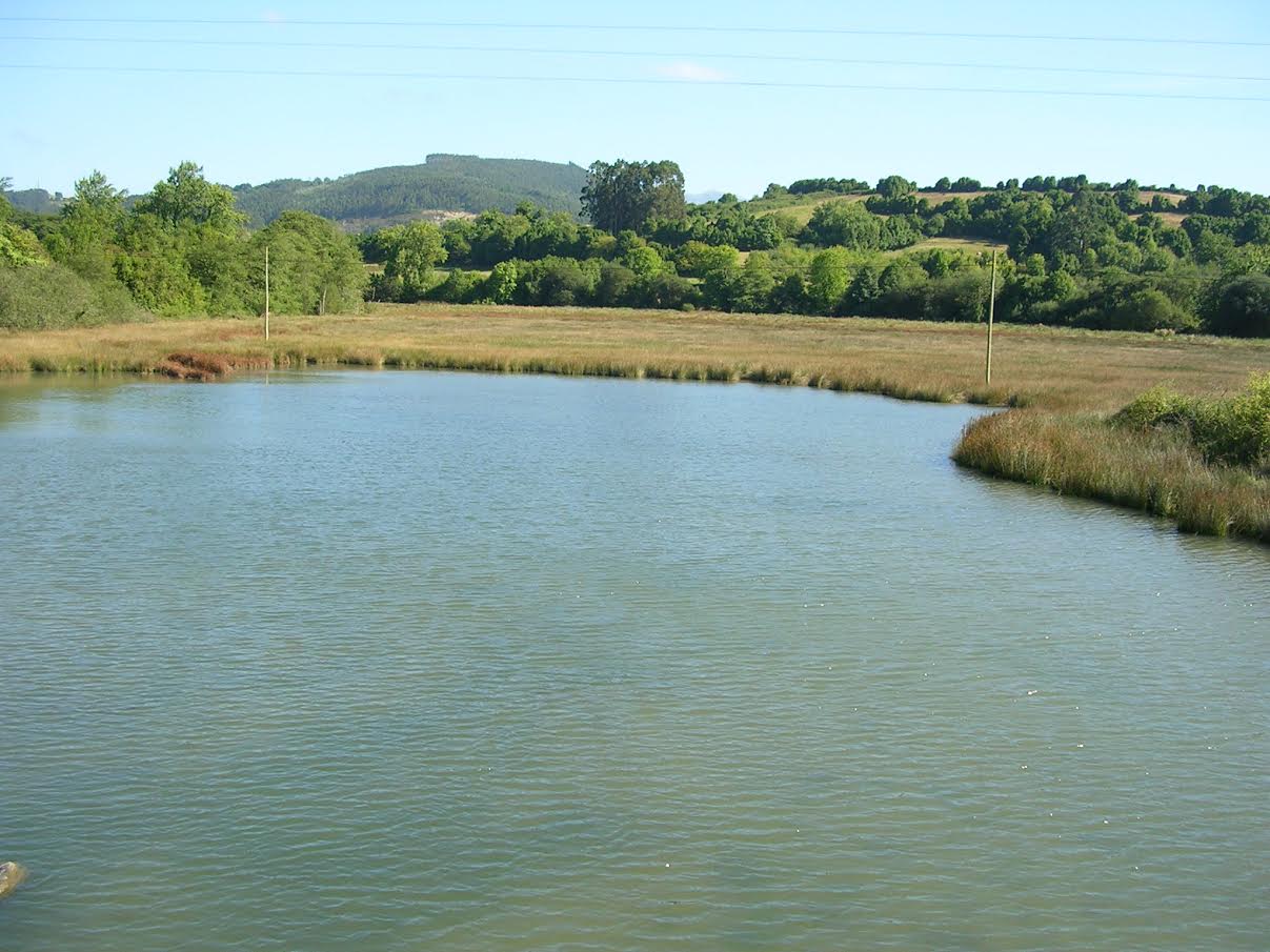 En Asturias sale barato contaminar un espacio natural