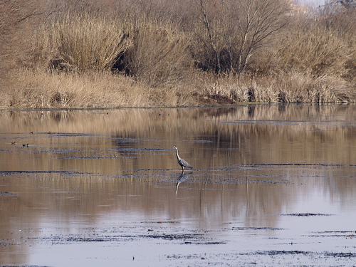 Carrefour celebra el Día de los Humedales con una jornada sobre las Marismas Negras y Blancas