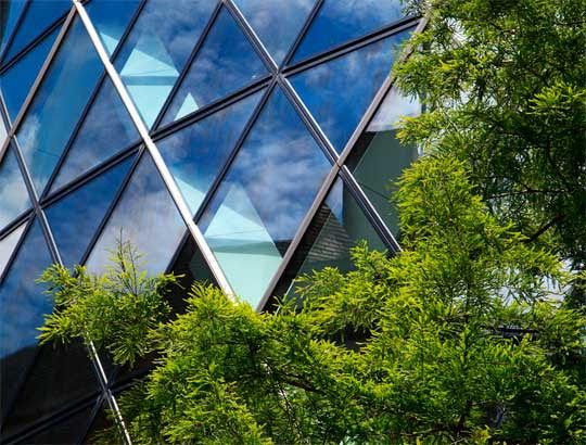 Dos grandes sectores juntos en un mismo master: Sostenibilidad y Eficiencia Energética