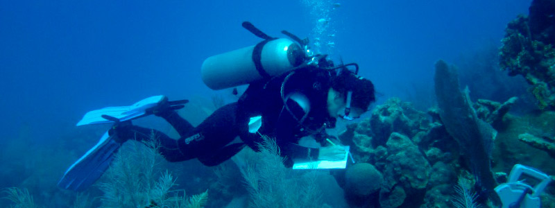 Instituto de Ciencias Marinas y Pesquerías: compromiso con la sustentabilidad
