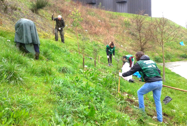 Voluntarios de Ecocampus plantan 100 árboles y arbustos propios del encinar costero