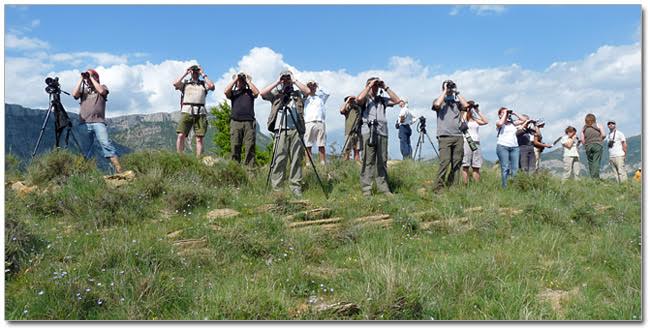 Turismo ornitológico un gran aliado para preservar la biodiversidad