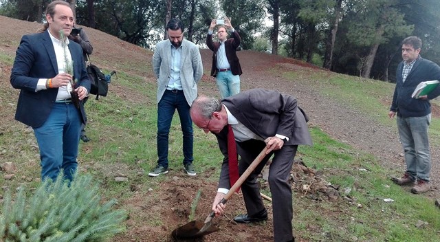 Málaga reforesta los parques periurbanos
