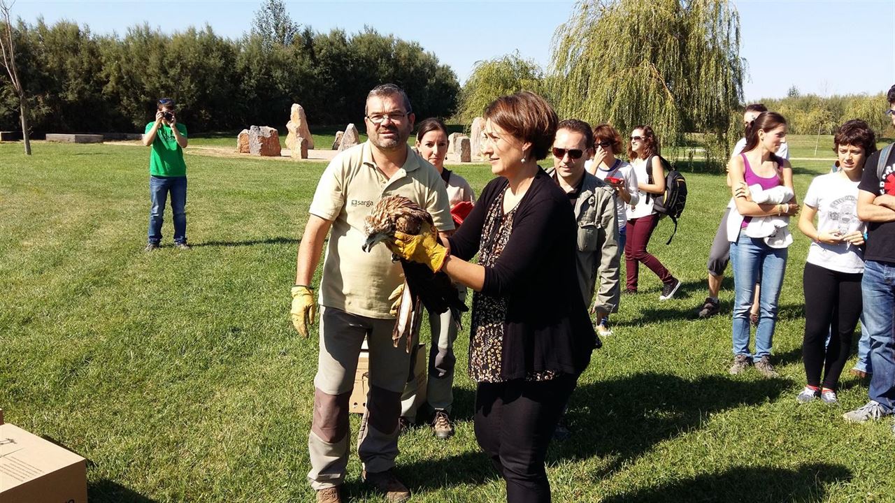 Liberados ocho milanos reales en la Reserva Natural de los Sotos y Galachos del Ebro