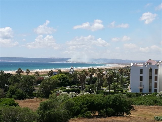 Controlado el incendio en el Parque de La Breña (Cádiz)