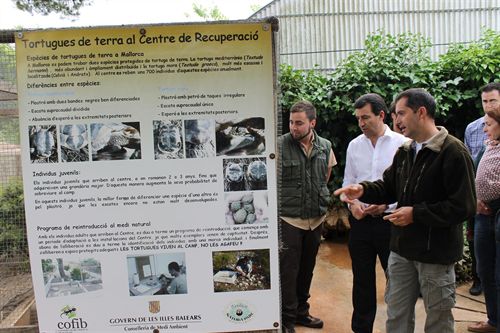 El Cofib de Baleares ha atendido en lo que va de año a 707 animales silvestres