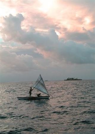 El coral revela el vínculo de vientos alisios del Océano Pacífico con el clima mundial