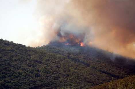 El fuego en el Parque Nacional de Garajonay afecta a casi 800 hectáreas