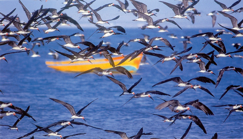 Analizarán en México cómo actúa el cambio climático en la migración