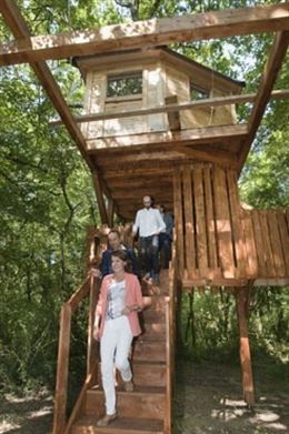 Arranca el primer complejo turístico con cabañas en árboles de Navarra