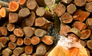 Nueva reglamentación alejará a empresas madereras de prácticas habituales