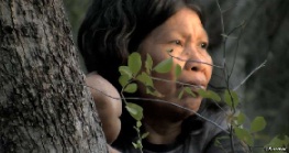 Un alto cargo de una empresa vinculada a Grupo San José envuelto en una investigación sobre falsificación de firmas