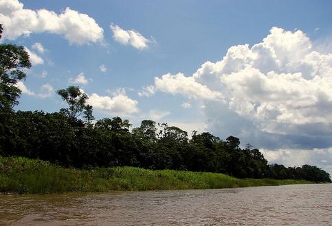 Costarricenses señalan la contaminación de ríos como mayor problema ambiental